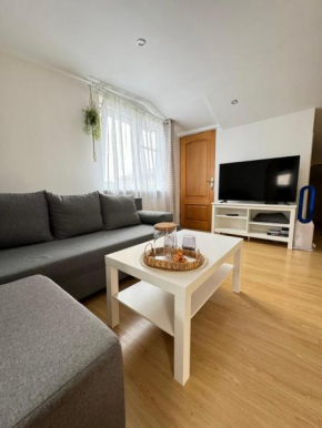 Brother street Rooftop apartment in Libau